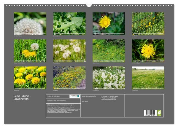 Produktbild: Gute Laune - L&ouml;wenzahn (Wandkalender 2027 DIN A2 quer), CALVENDO Monatskalender
