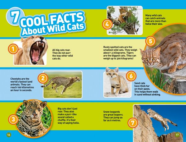 Produktbild: Wild Cats