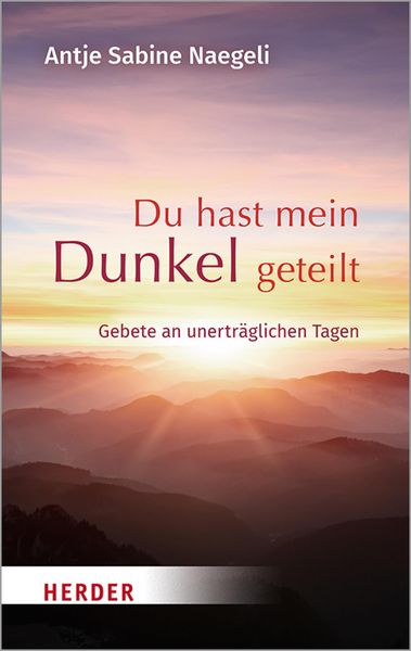 Produktbild: Du hast mein Dunkel geteilt