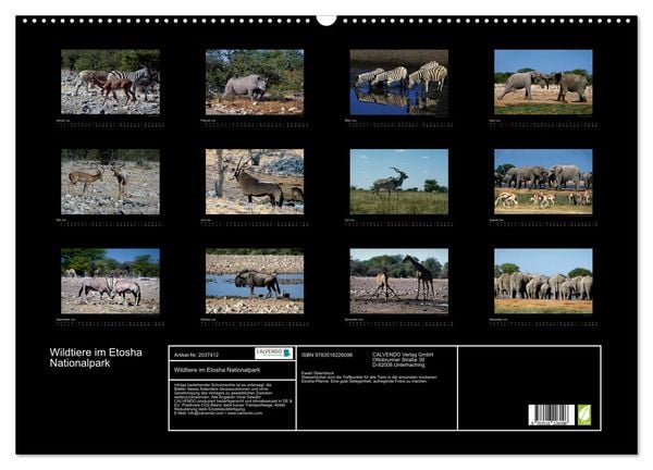 Produktbild: Wildtiere im Etosha Nationalpark (Wandkalender 2026 DIN A2 quer), CALVENDO Monatskalender
