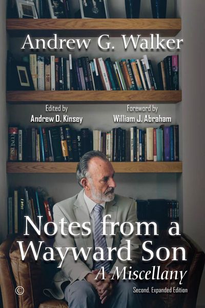 Produktbild: Notes from a Wayward Son
