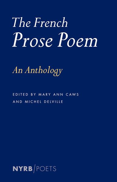 Produktbild: The French Prose Poem