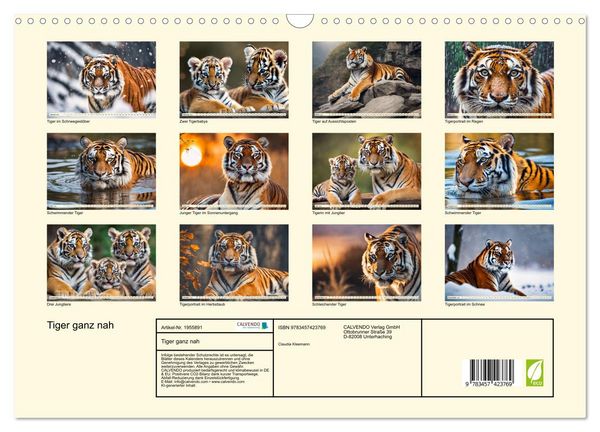 Produktbild: Tiger ganz nah (Wandkalender 2026 DIN A3 quer), CALVENDO Monatskalender