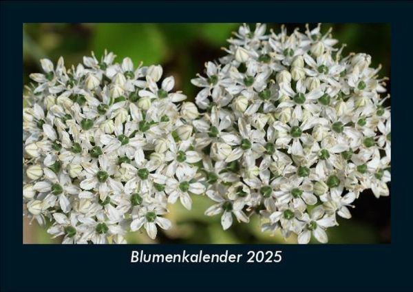 Produktbild: Blumenkalender 2025 Fotokalender DIN A5