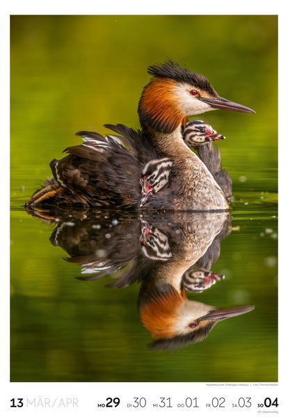 Produktbild: Natur Wochenkalender 2027