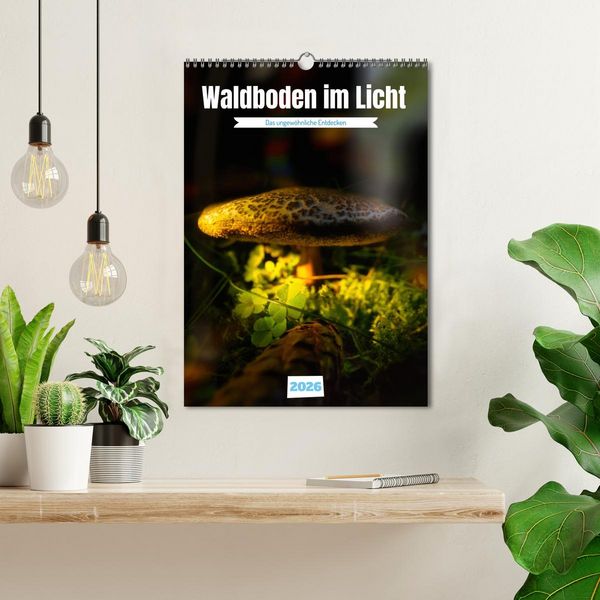 Produktbild: Waldboden im Licht (Wandkalender 2026 DIN A3 hoch), CALVENDO Monatskalender