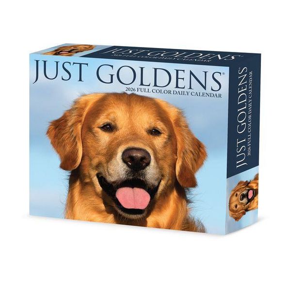 Produktbild: Goldens 2026 Box Calendar