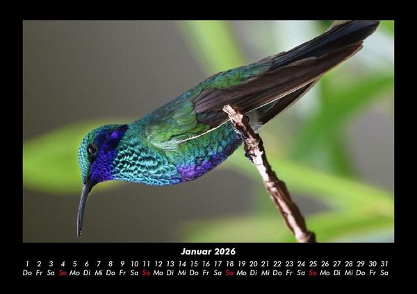 Produktbild: Vogelparadies 2026 Fotokalender DIN A3