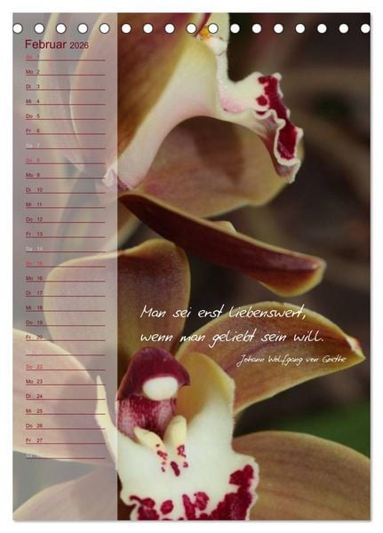 Produktbild: Blumen & Zitate / Geburtstagskalender (Tischkalender 2026 DIN A5 hoch), CALVENDO Monatskalender
