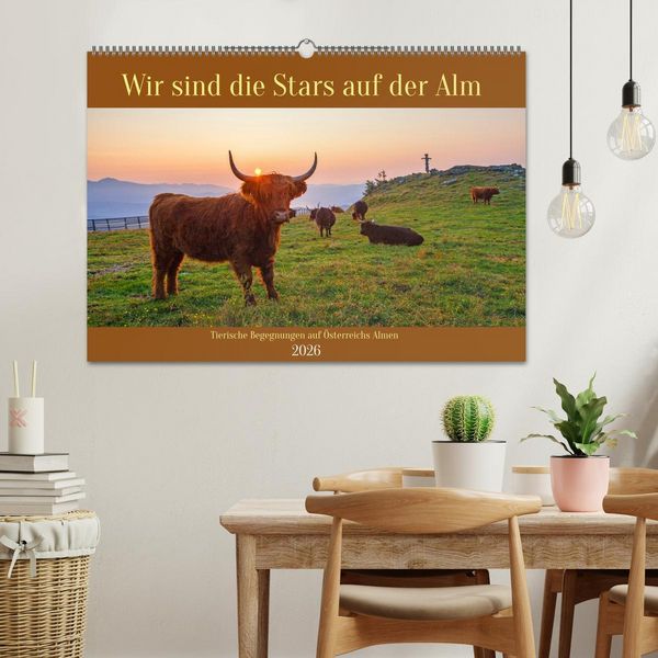 Produktbild: Wir sind die Stars auf der Alm (Wandkalender 2026 DIN A2 quer), CALVENDO Monatskalender