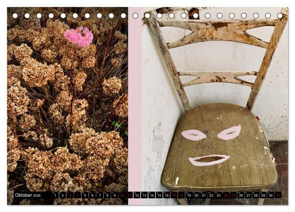 Produktbild: Applause To Life (Tischkalender 2026 DIN A5 quer), CALVENDO Monatskalender