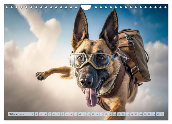 Produktbild: Hunde Skydiving (Wandkalender 2026 DIN A4 quer), CALVENDO Monatskalender
