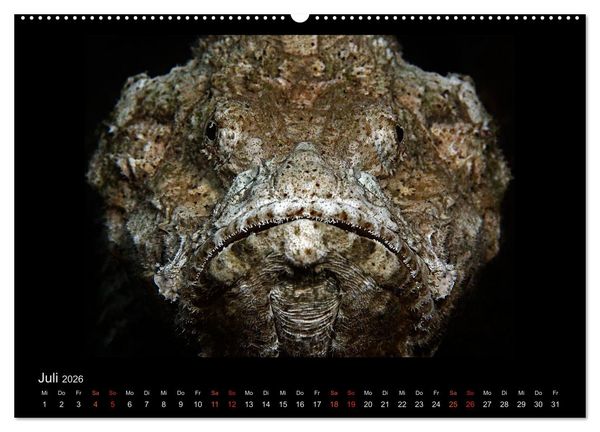 Produktbild: Ocean-Art / CH-Version (hochwertiger Premium Wandkalender 2026 DIN A2 quer), Kunstdruck in Hochglanz