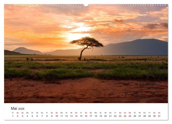 Produktbild: Kenia - Eine Safari durch unber&uuml;hrte Natur. (Wandkalender 2026 DIN A2 quer), CALVENDO Monatskalender
