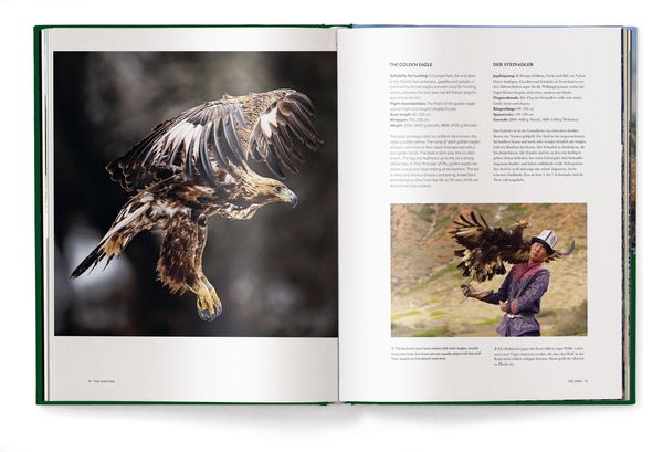 Produktbild: Jagd - Das ultimative Buch