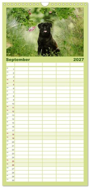 Produktbild: Familienplaner 2027 - Der MOPS-Kalender mit 5 Spalten (Wandkalender, 21 x 45 cm) CALVENDO