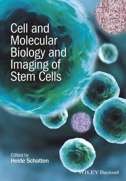 Produktbild: Cell and Molecular Biology and Imaging of Stem Cells