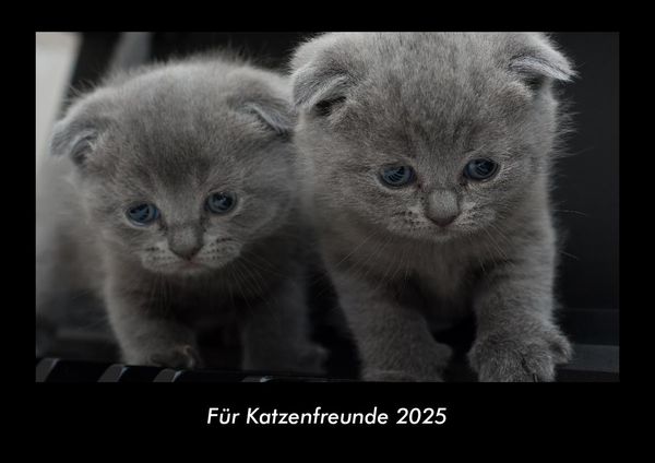 Produktbild: F&uuml;r Katzenfreunde 2025 Fotokalender DIN A3