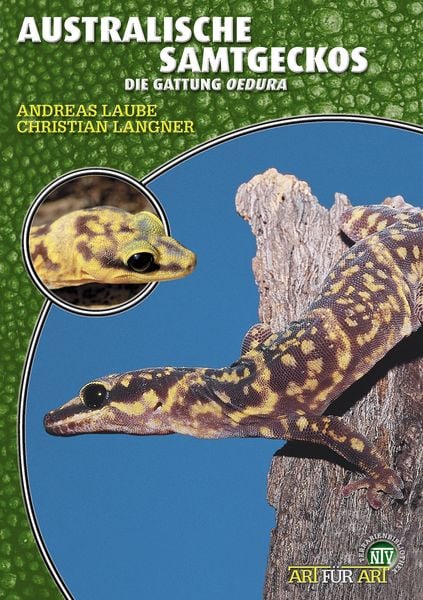 Produktbild: Australische Samtgeckos