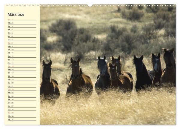 Produktbild: Wilde Pferde. Mustangs in USA (hochwertiger Premium Wandkalender 2026 DIN A2 quer), Kunstdruck in Hochglanz
