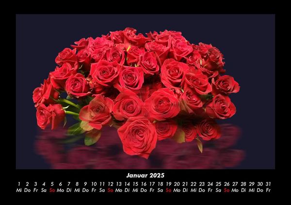 Produktbild: Rosen-Kalender 2025 Fotokalender DIN A3