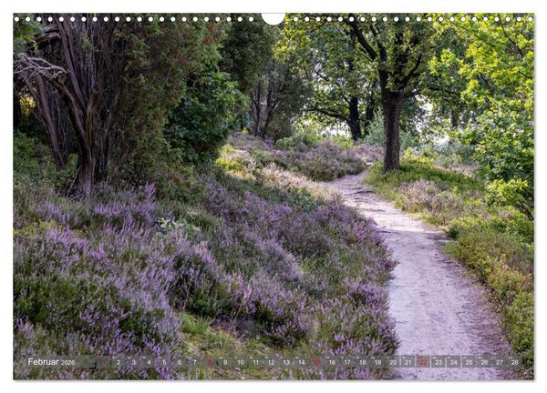 Produktbild: Die L&uuml;neburger Heide - In voller Bl&uuml;te (Wandkalender 2026 DIN A3 quer), CALVENDO Monatskalender