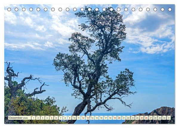 Produktbild: Mediterrane Flora - Pflanzen des S&uuml;dens (Tischkalender 2026 DIN A5 quer), CALVENDO Monatskalender
