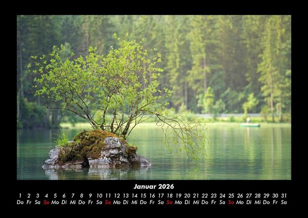 Produktbild: B&auml;ume 2026 Fotokalender DIN A3