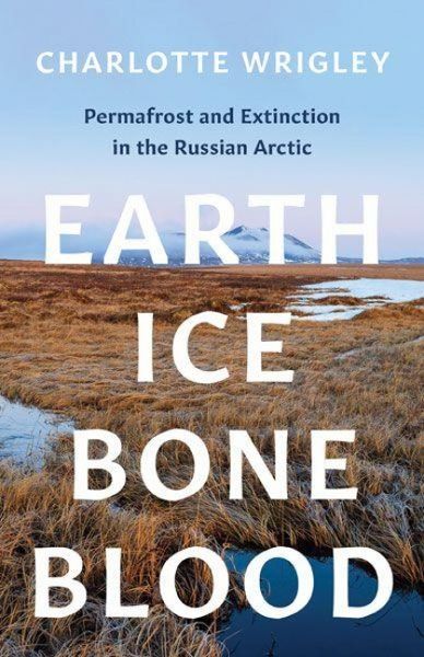 Produktbild: Earth, Ice, Bone, Blood