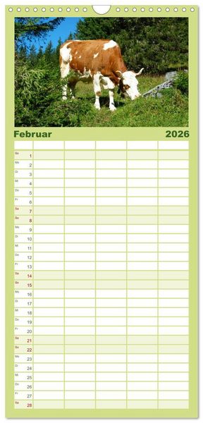 Produktbild: Familienplaner 2026 - Die Welt der K&uuml;he mit 5 Spalten (Wandkalender, 21 x 45 cm) CALVENDO