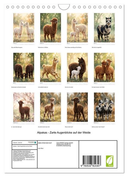 Produktbild: Alpakas - Zarte Augenblicke auf der Weide (Wandkalender 2027 DIN A4 hoch), CALVENDO Monatskalender