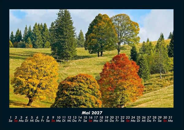 Produktbild: B&auml;ume 2027 Fotokalender DIN A4