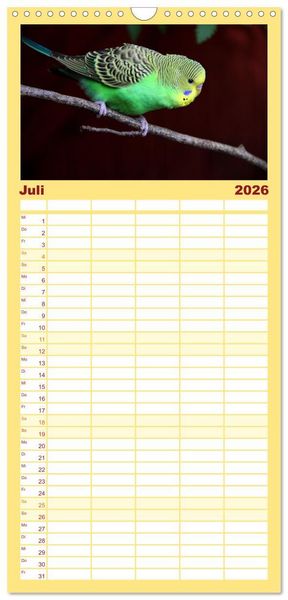 Produktbild: Familienplaner 2026 - Wellensittichkalender! - Das Original mit 5 Spalten (Wandkalender, 21 x 45 cm) CALVENDO