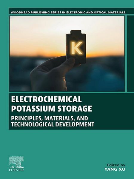 Produktbild: Electrochemical Potassium Storage