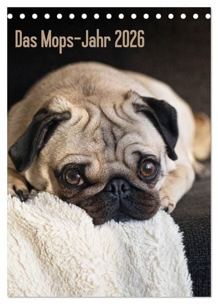 Das Mops-Jahr 2026 (Tischkalender 2026 DIN A5 hoch), CALVENDO Monatskalender