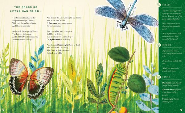 Produktbild: The Illustrated Emily Dickinson