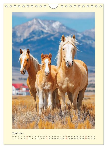 Produktbild: Westernpferde. Quarter Horse und Paint Horse auf dem Farmland (Wandkalender 2027 DIN A4 hoch), CALVENDO Monatskalender
