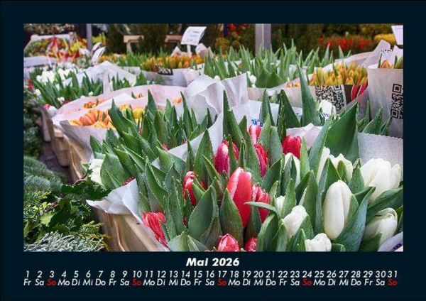Produktbild: Blumenkalender 2026 Fotokalender DIN A5