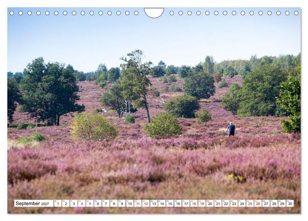 Produktbild: Radland Deutschland - L&uuml;neburger Heide (Wandkalender 2027 DIN A4 quer), CALVENDO Monatskalender