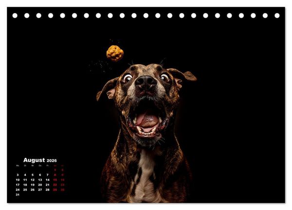 Produktbild: Leckerchen! (Tischkalender 2026 DIN A5 quer), CALVENDO Monatskalender