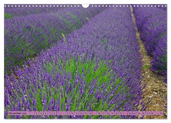 Produktbild: Farbzauber Lavendel (Wandkalender 2026 DIN A3 quer), CALVENDO Monatskalender