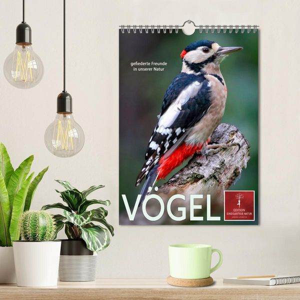 Produktbild: V&ouml;gel - gefiederte Freunde in unserer Natur (Wandkalender 2026 DIN A4 hoch), CALVENDO Monatskalender