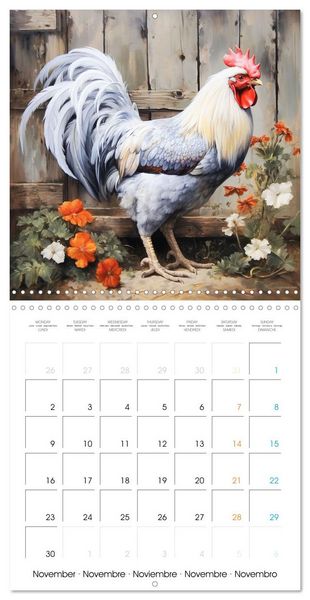 Produktbild: Coqs de nos campagnes (Calendrier mural carr&eacute; 2026 30x30 cm) Calendrier double avec une page pour vos prises de notes