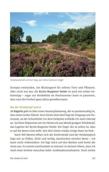 Produktbild: Raus aus Berlin