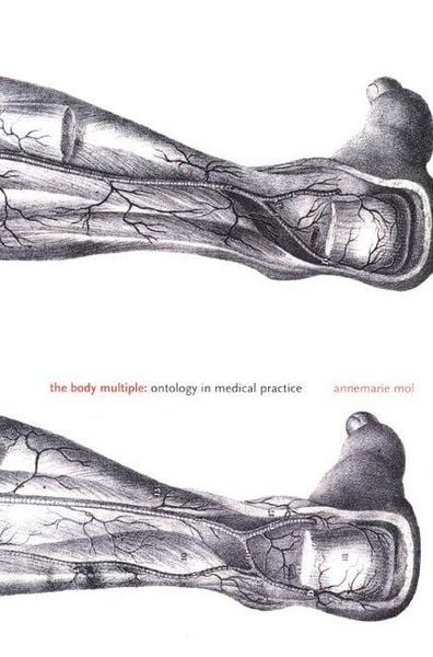 Produktbild: The Body Multiple