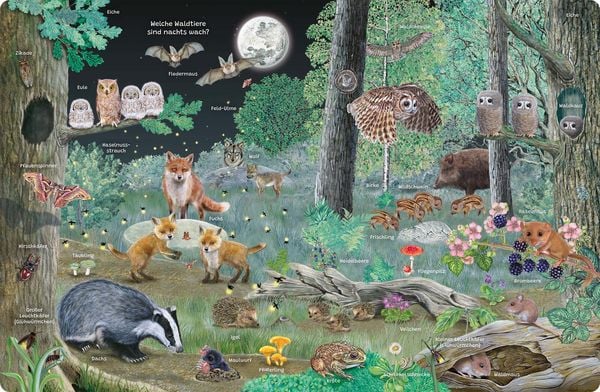 Produktbild: Mein Lupen-Wimmelbuch: Wald und Wiese