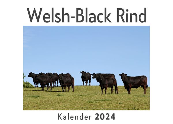 Produktbild: Welsh-Black Rind (Wandkalender 2024, Kalender DIN A4 quer, Monatskalender im Querformat mit Kalendarium, Das perfekte Geschenk)