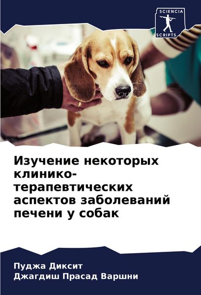 Produktbild: Izuchenie nekotoryh kliniko-terapewticheskih aspektow zabolewanij pecheni u sobak