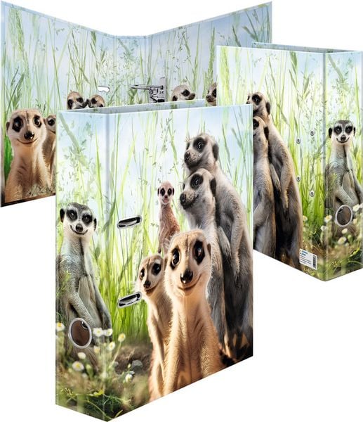 HERMA Ordner exotische Tiere, Erdmännchen
