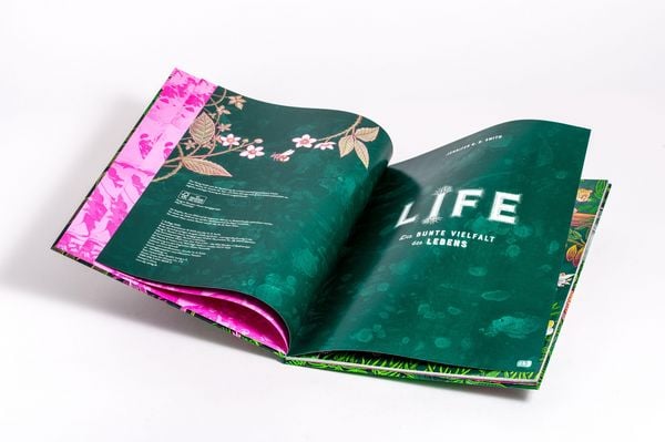 Produktbild: LIFE &ndash; Die bunte Vielfalt des Lebens